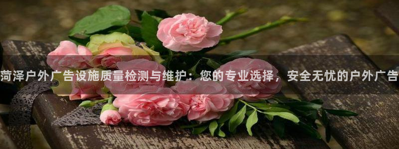 杏宇平台代理：菏泽户外广告设施质量检测与