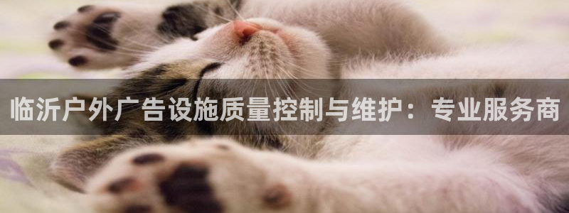 杏宇平台代理多少钱一个：临沂户外广告设施质量控制与维护：专业服务商