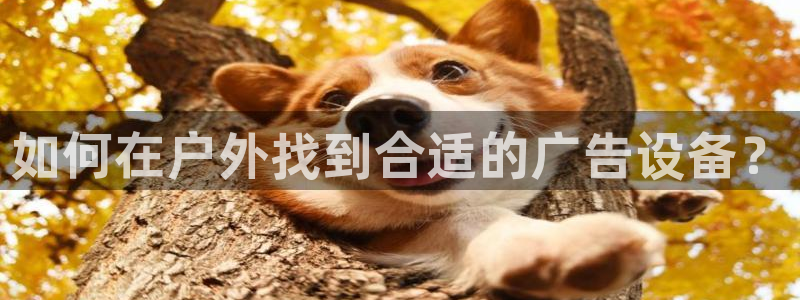 杏宇官方平台官网下载：如何在户外找到合适