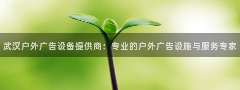 杏宇平台登录步骤：武汉户外广告设备提供商：专业的户外广告设施与服务专家