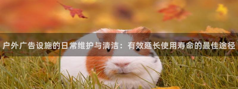 杏宇平台代理：户外广告设施的日常维护与清