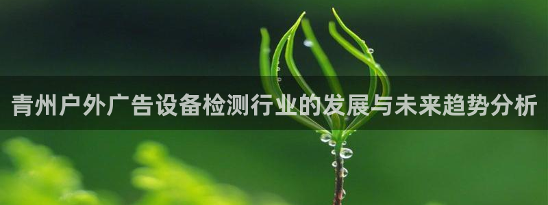 杏宇平台总代理是谁：青州户外广告设备检测行业的发展与未来趋势分析