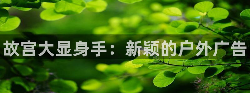 杏宇平台代理多少钱一个：故宫大显身手：新颖的户外广告
