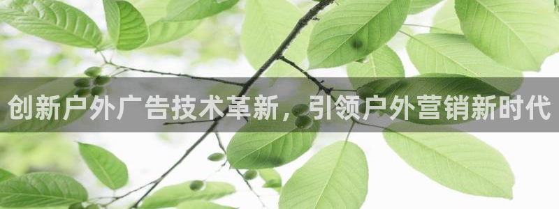 杏宇平台代理怎么样可靠吗：创新户外广告技