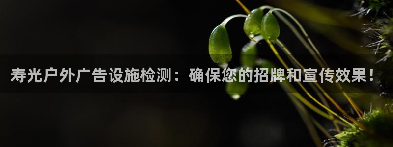 杏宇平台测速链接：寿光户外广告设施检测：确保您的招牌和宣传效果！