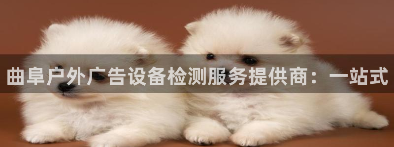 杏宇平台代理怎么样赚钱：曲阜户外广告设备检测服务提供商：一站式