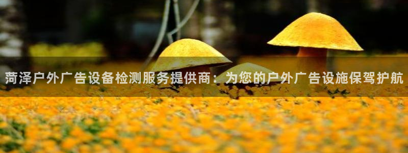 杏宇平台代理多少钱:菏泽户外广告设备检测 杏宇平台代理多少钱:菏泽户外广告设备检测
