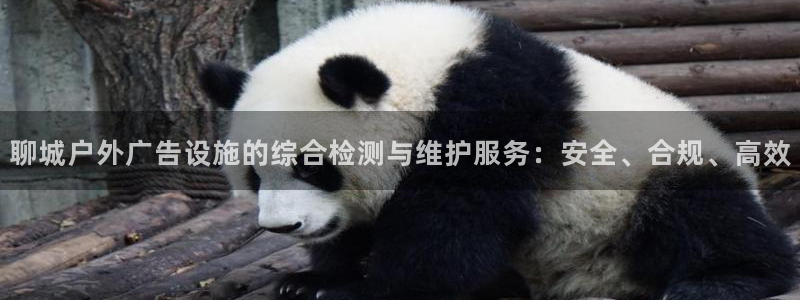 杏宇平台招商：聊城户外广告设施的综合检测与维护服务：安全、合规、高效