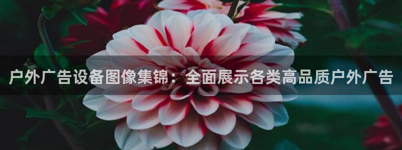 杏宇平台代理怎么样赚钱:户外广告设备图像 杏宇平台代理怎么样赚钱:户外广告设备图像