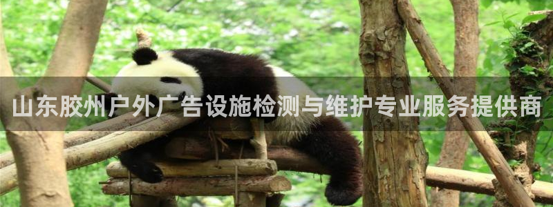 杏宇平台怎么样知乎：山东胶州户外广告设施检测与维护专业服务提供商
