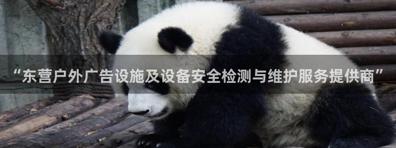 杏宇平台注册登录：“东营户外广告设施及设备安全检测与维护服务提供商”