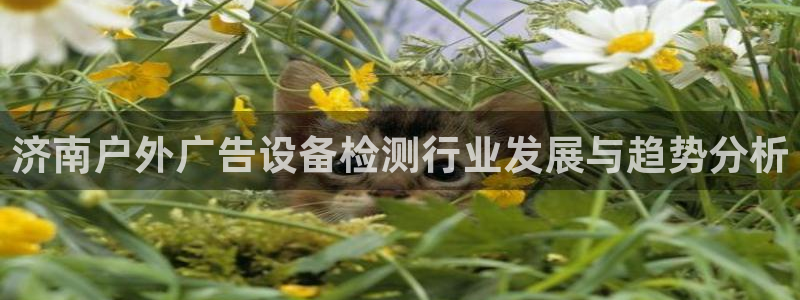 杏宇平台测速链接：济南户外广告设备检测行业发展与趋势分析