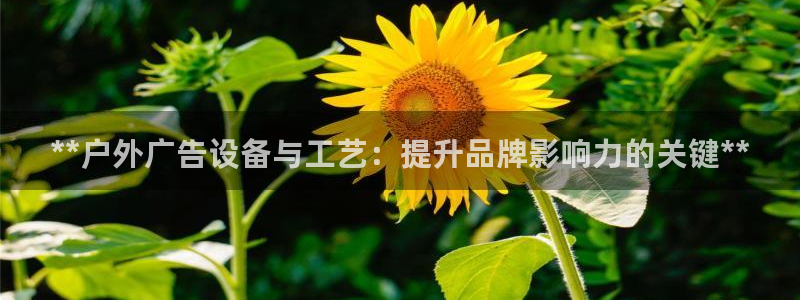 杏宇平台代理多少钱一次：**户外广告设备与工艺：提升品牌影响力的关键**