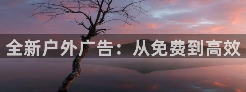 杏宇平台代理怎么赚钱快：全新户外广告：从免费到高效