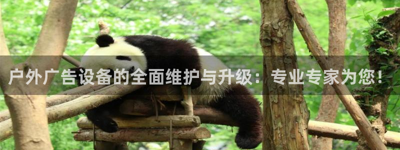 杏宇平台怎么样：户外广告设备的全面维护与升级：专业专家为您！