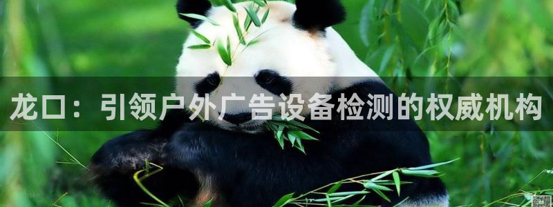 杏宇平台是什么：龙口：引领户外广告设备检测的权威机构