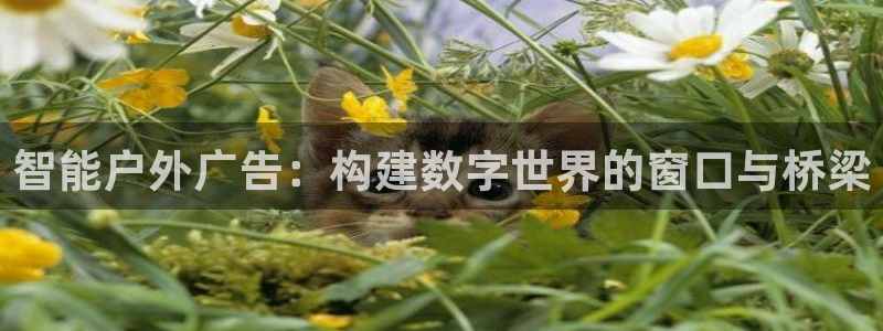 杏宇平台怎么样：智能户外广告：构建数字世界的窗口与桥梁