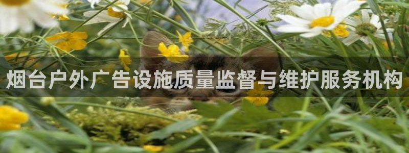 杏宇平台代理怎么赚钱快：烟台户外广告设施质量监督与维护服务机构