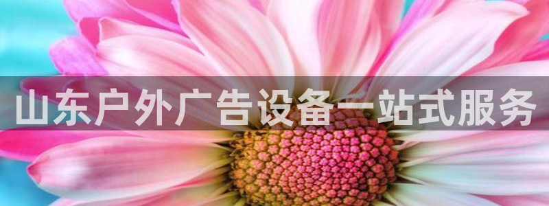 杏宇平台官网注册