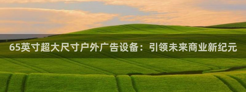 杏宇平台代理多少钱一个：65英寸超大尺寸
