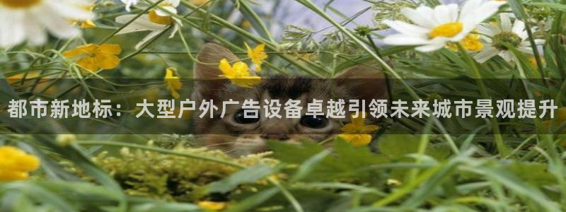 杏宇平台招商怎么样