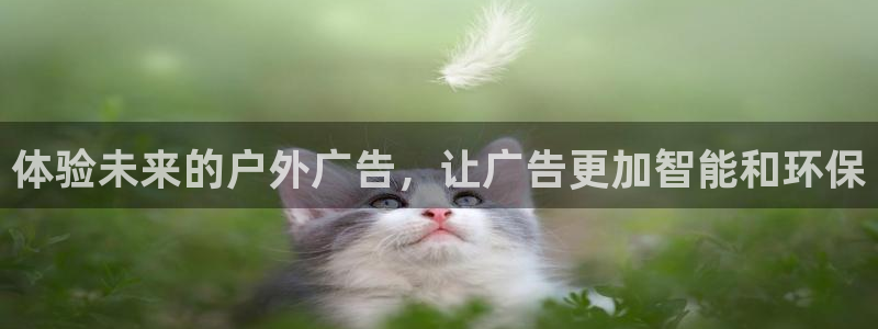 杏宇平台提现为什么这么久呢：体验未来的户外广告，让广告更加智能和环保