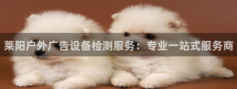 杏宇平台客服：莱阳户外广告设备检测服务：