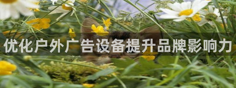 杏宇平台代理怎么样：优化户外广告设备提升