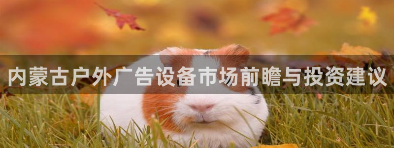 杏宇平台客服：内蒙古户外广告设备市场前瞻与投资建议