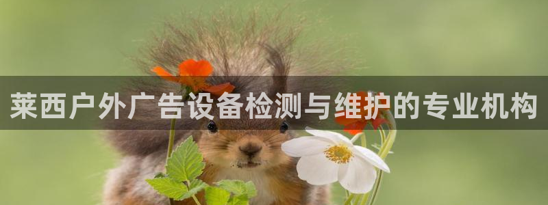 杏宇代理注册：莱西户外广告设备检测与维护的专业机构