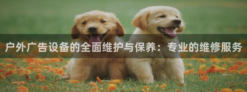 杏宇平台代理多少钱一次：户外广告设备的全面维护与保养：专业的维修服务
