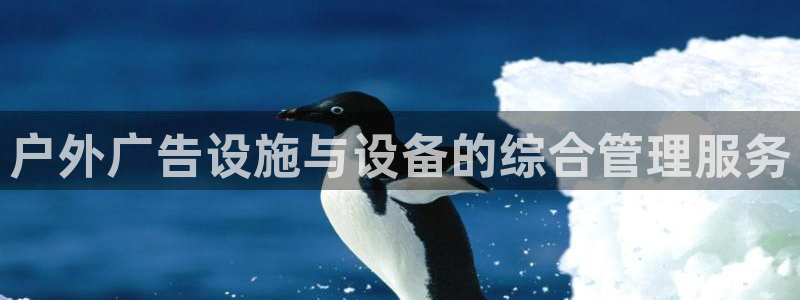 杏宇平台代理多少钱一个：户外广告设施与设备的综合管理服务