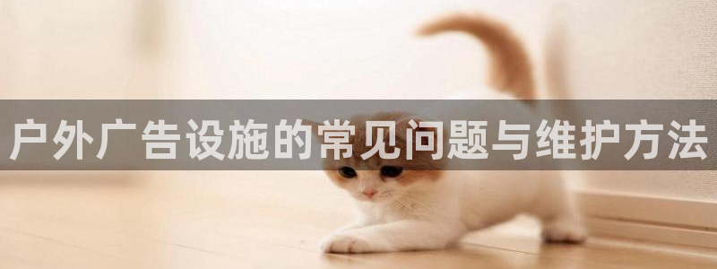 杏宇平台主管：户外广告设施的常见问题与维护方法
