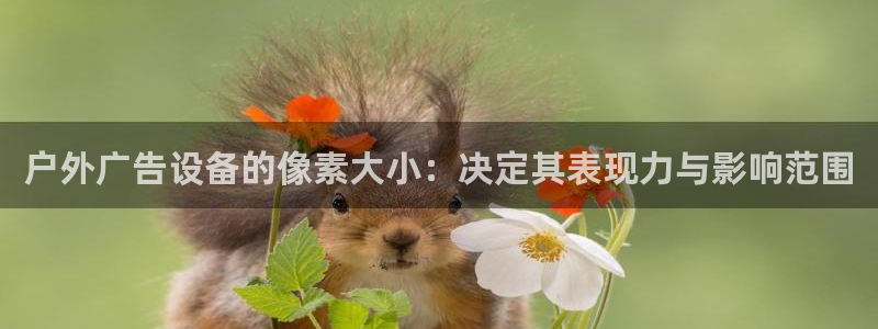 杏宇官方平台官网下载：户外广告设备的像素