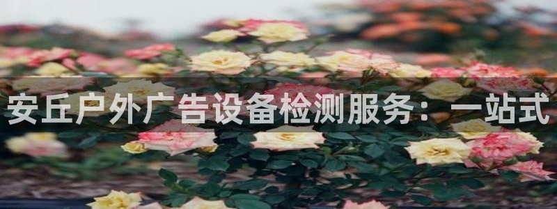 杏宇平台登录步骤是什么：安丘户外广告设备检测服务：一站式